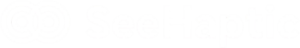 Logo SeeHaptic White px